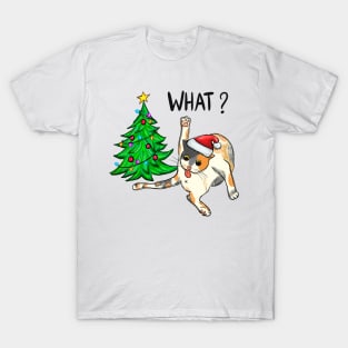 What? T-Shirt